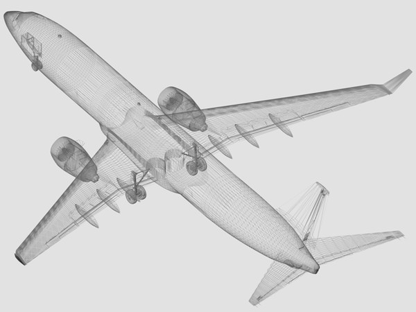 B 737-800 Delta